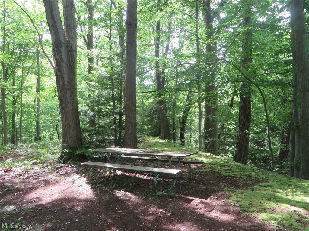 2011 South Denmark Road Jefferson, OH 44047 - Photo 33 of 35 Gallery Image 33