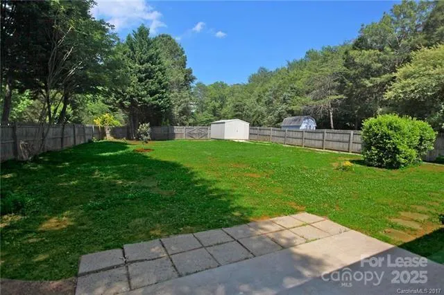 a view of a garden with plants and large trees