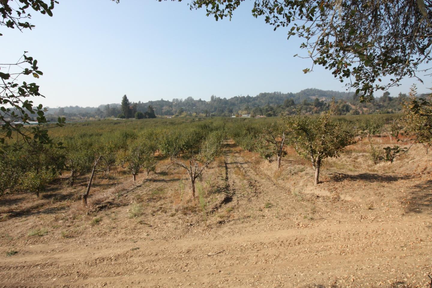 0 Browns Valley Road Watsonville, CA 95076 - Photo 16 of 16 Gallery Image 16