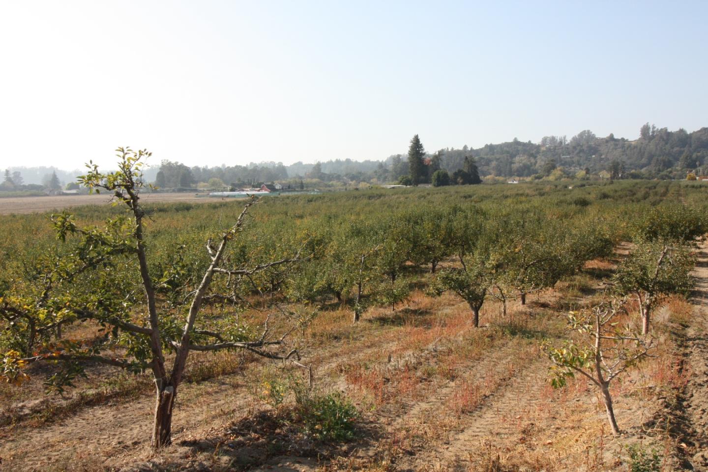 0 Browns Valley Road Watsonville, CA 95076 - Photo 3 of 16 Gallery Image 3