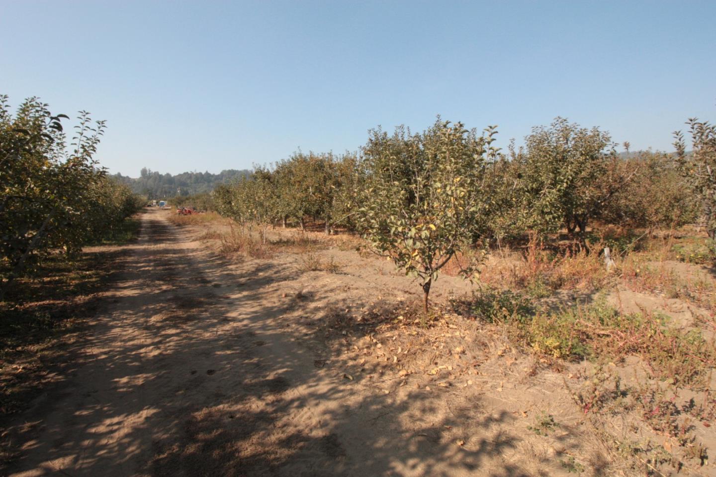 0 Browns Valley Road Watsonville, CA 95076 - Photo 5 of 16 Gallery Image 5