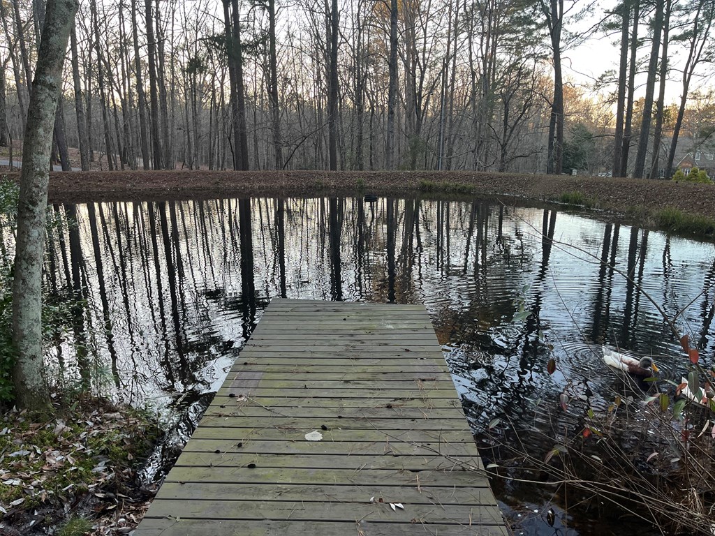 709 Jenni Lane Manchester, GA 31816 - Photo 4 of 35