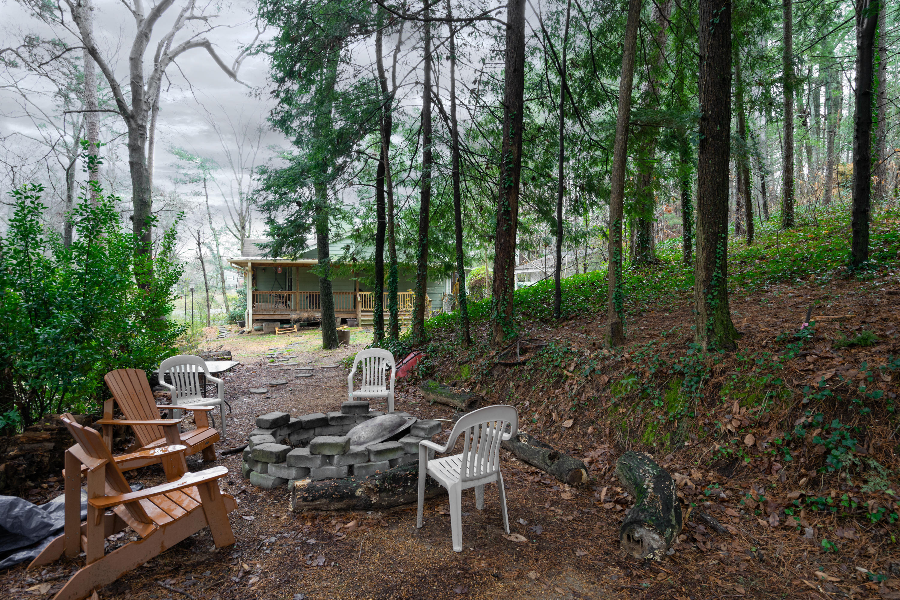 873 Donaldson Road Chattanooga, TN 37412 - Photo 21 of 22 Back Yard