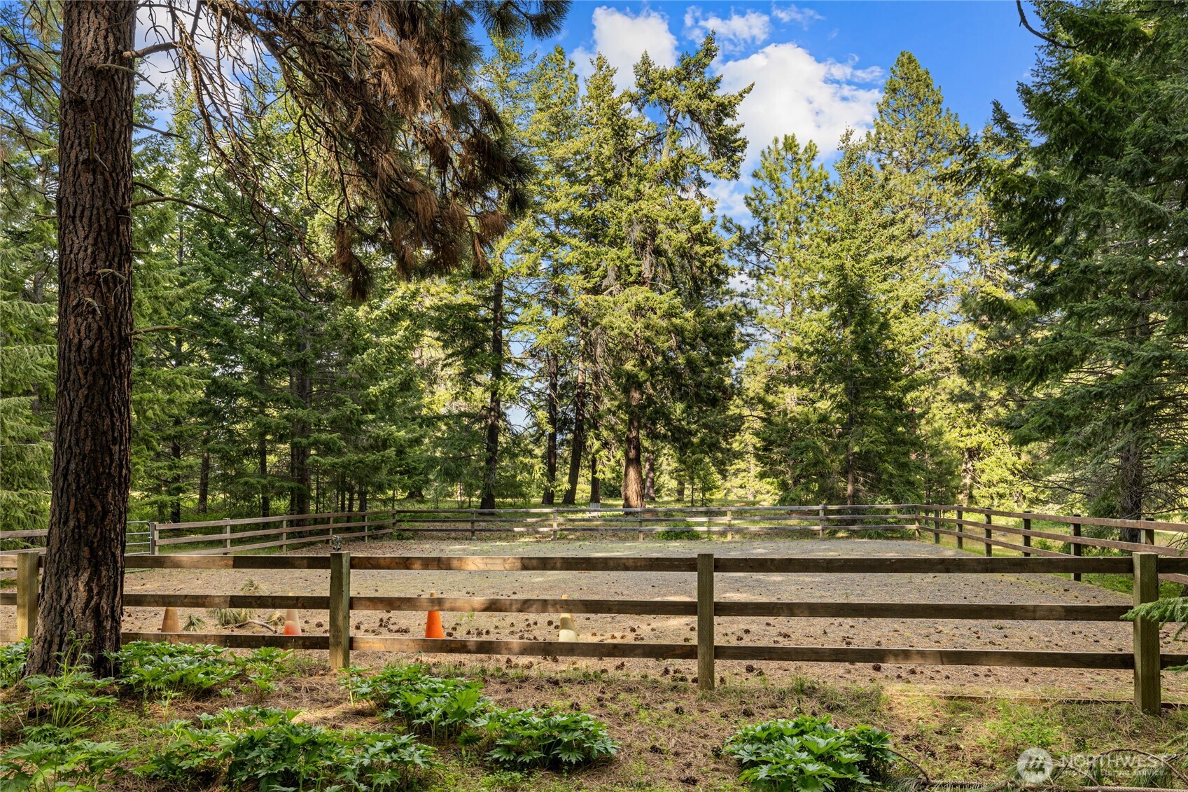 1101 Emerick Road Cle Elum, WA 98922 - Photo 15 of 40 a view of backyard with green space
