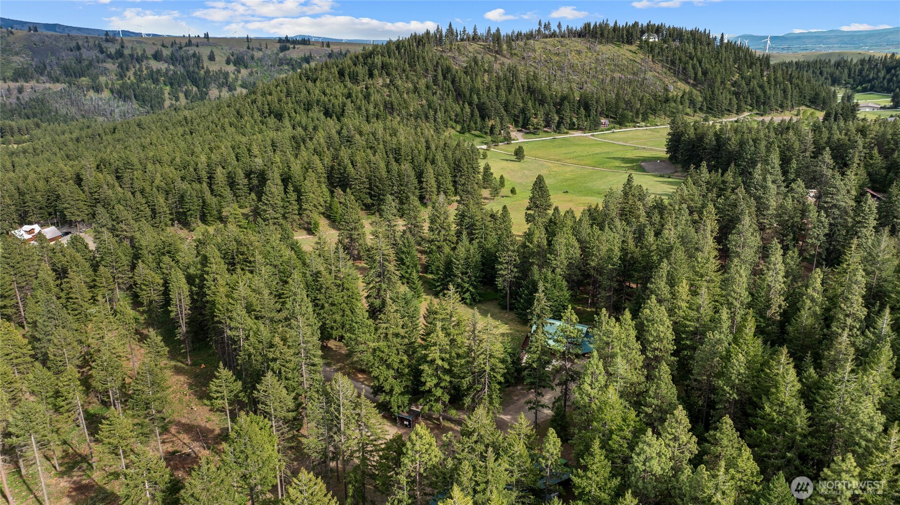 1101 Emerick Road Cle Elum, WA 98922 - Photo 34 of 40 a view of a lush green forest with trees and some houses
