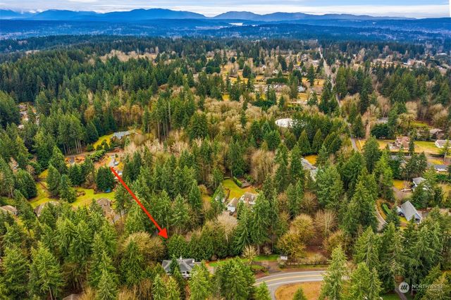 a view of a lush green field and a tree