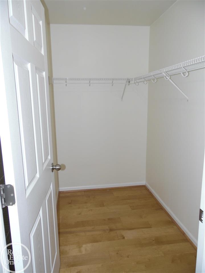 46099 Rhodes Drive Macomb, MI 48044 - Photo 23 of 30 Walk-in Master closet
