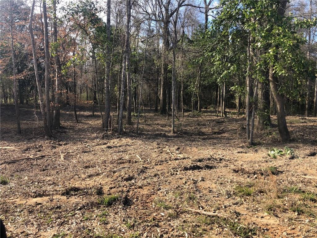 Lot 4 Holden's Run Road Franklinton, LA 70438 - Photo 13 of 24 Gallery Image 13