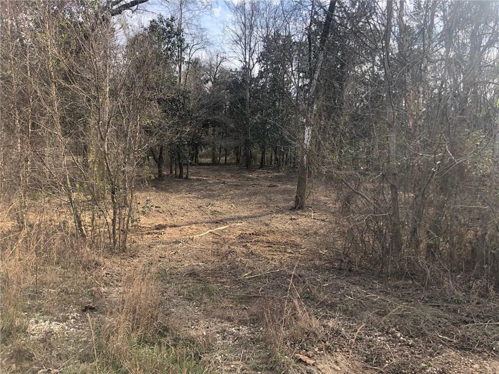 Lot 4 Holden's Run Road Franklinton, LA 70438 - Photo 23 of 24 Gallery Image 23