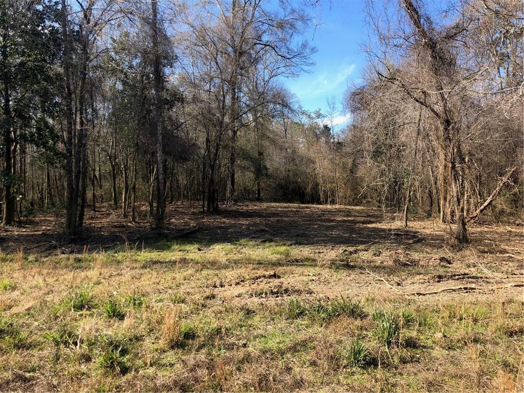 Lot 4 Holden's Run Road Franklinton, LA 70438 - Photo 3 of 24 Gallery Image 3