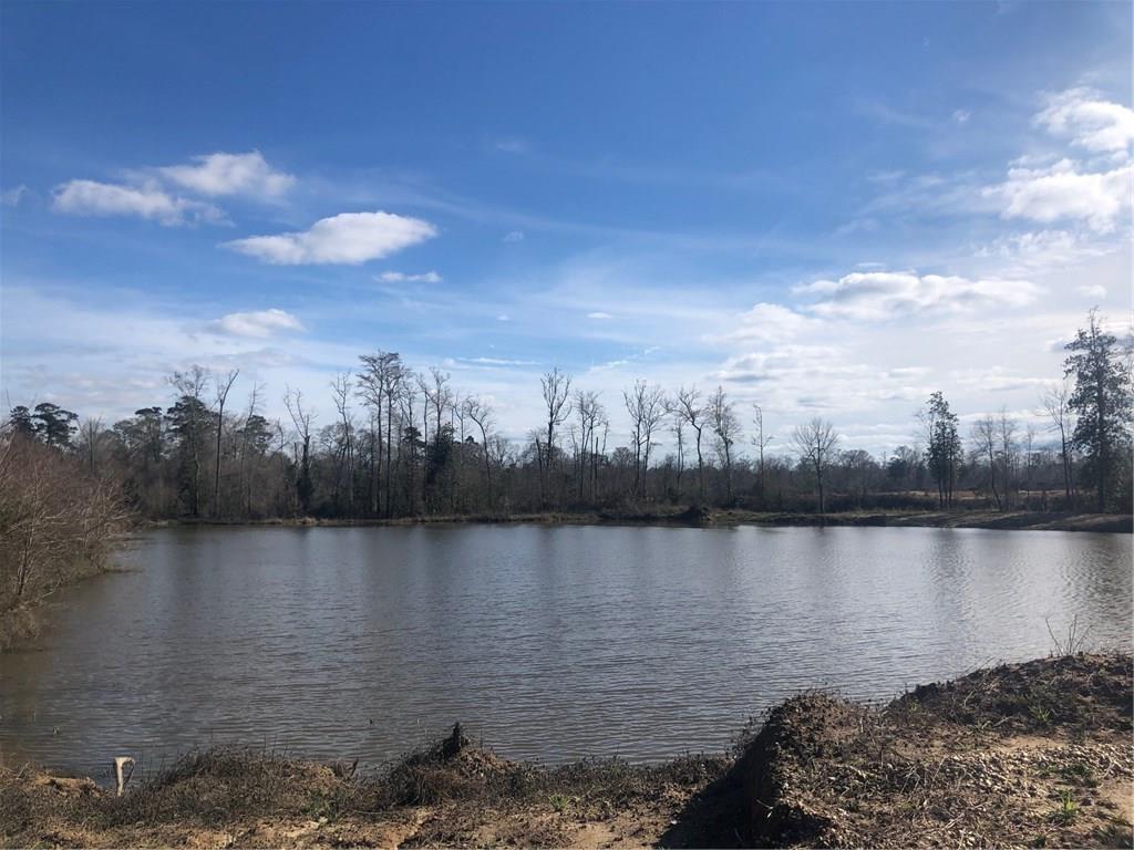 Lot 4 Holden's Run Road Franklinton, LA 70438 - Photo 4 of 24 Gallery Image 4