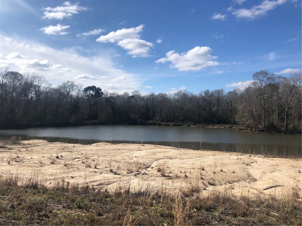 Lot 4 Holden's Run Road Franklinton, LA 70438 - Photo 5 of 24 Gallery Image 5