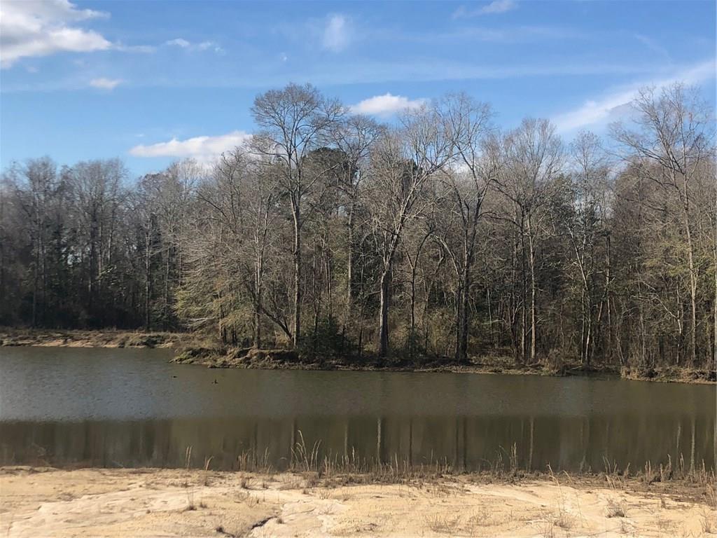 Lot 4 Holden's Run Road Franklinton, LA 70438 - Photo 7 of 24 Gallery Image 7