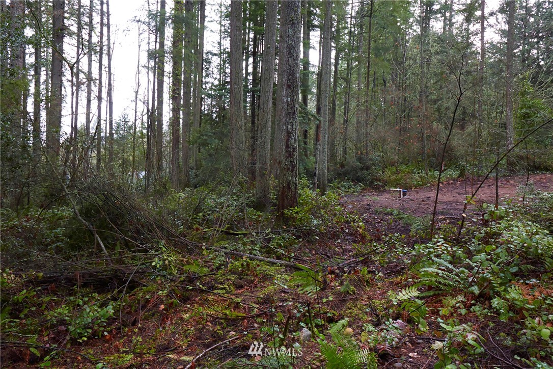68 Anderson Hill Road Southwest Port Orchard, WA 98367 - Photo 10 of 11 Gallery Image 10