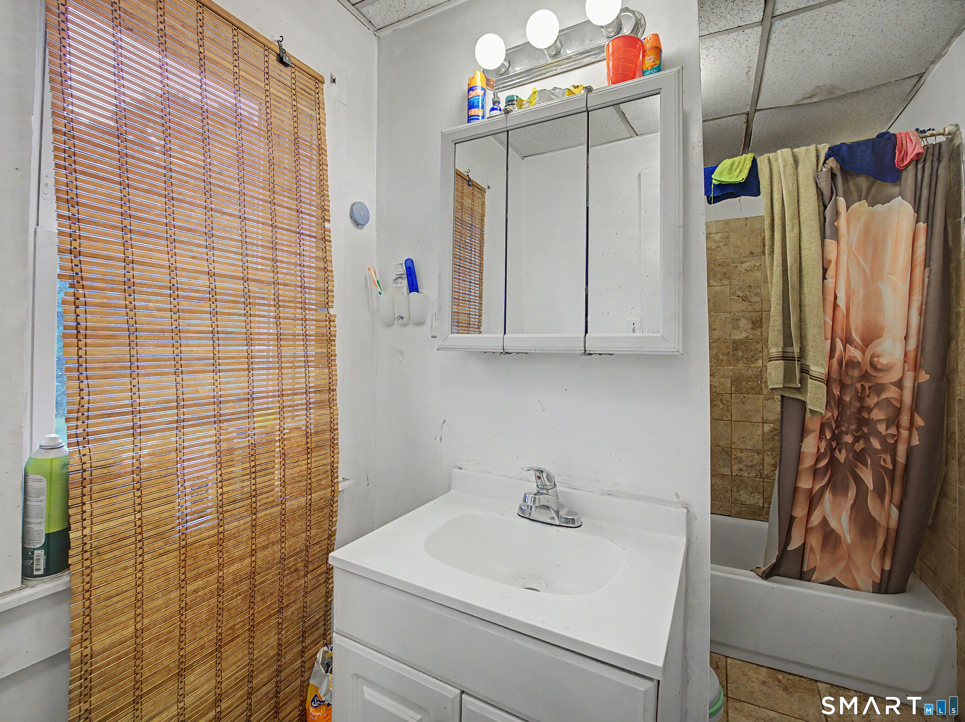 319 Carroll Avenue Bridgeport, CT 06607 - Photo 27 of 40 a bathroom with a sink a toilet and shower curtain