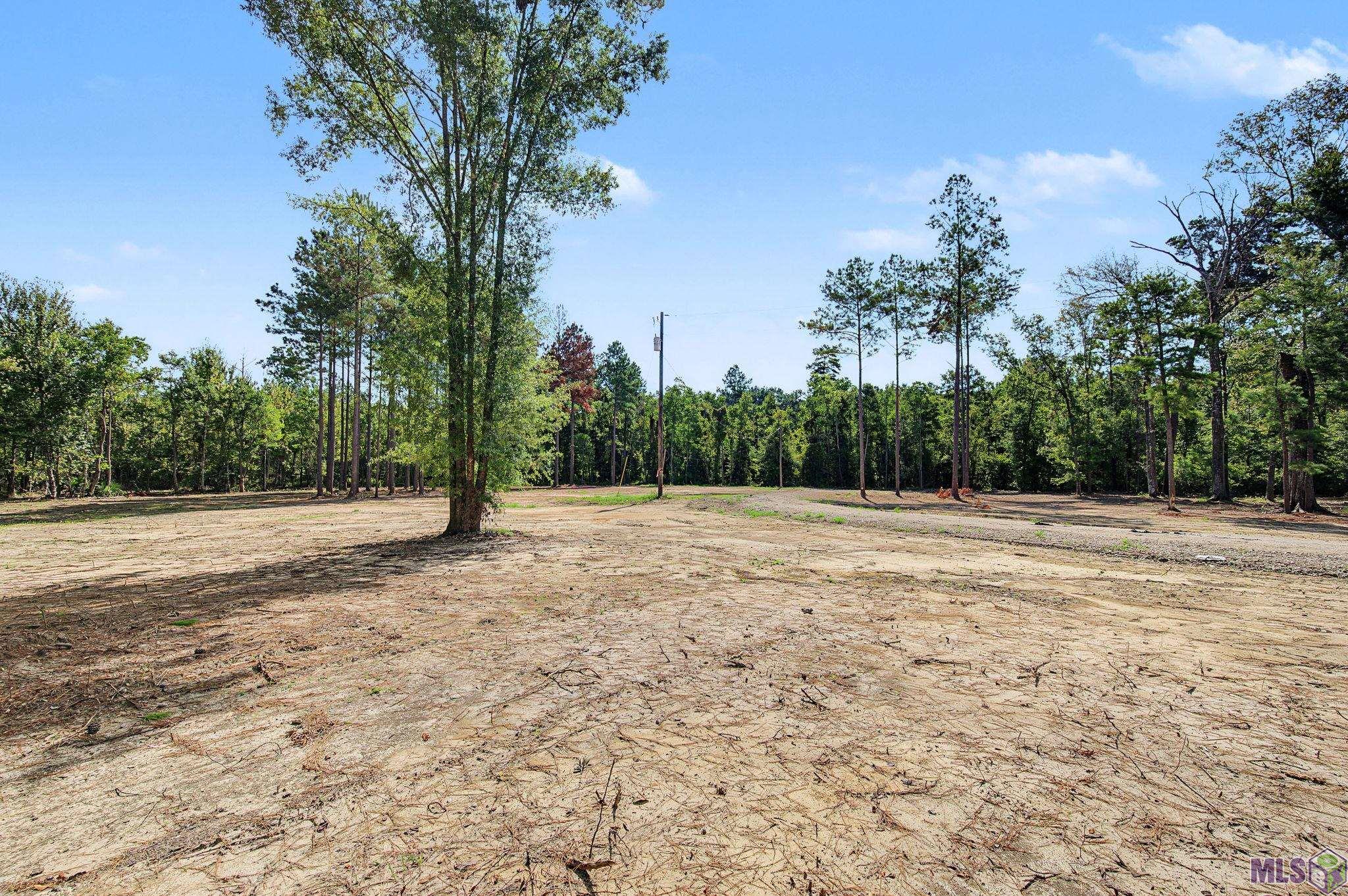 36764 Weiss Road Denham Springs, LA 70706 - Photo 6 of 7 Gallery Image 6