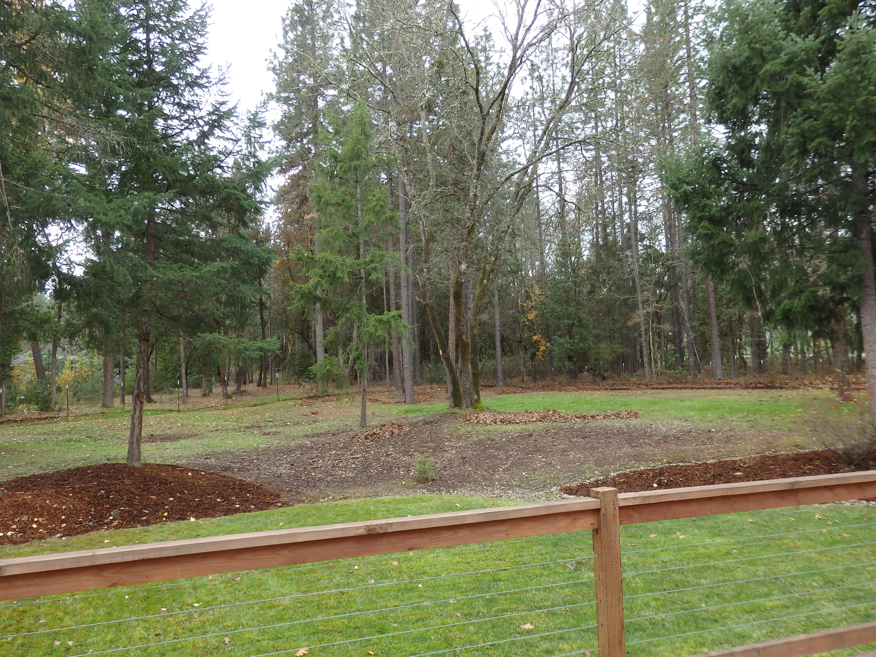3757 New Hope Road Grants Pass, OR 97527 - Photo 11 of 16 Grounds 1
