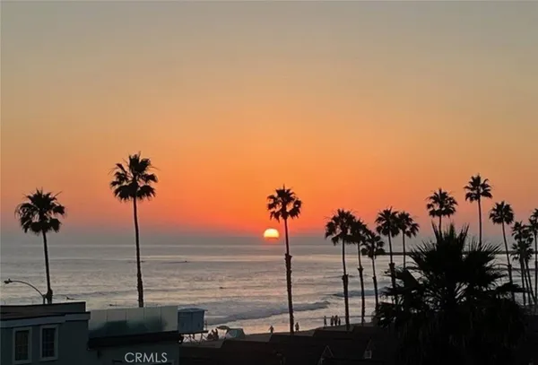 a view of ocean with a palm tree