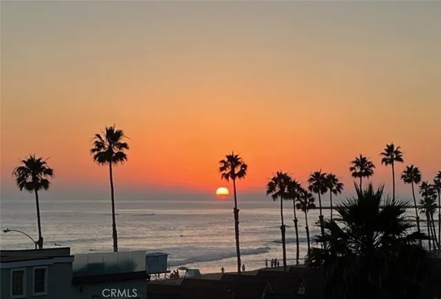 a view of ocean with a palm tree