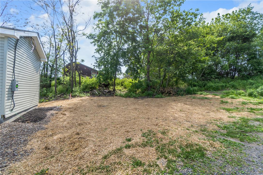 624 Main Road Lehighton, PA 18235 - Photo 39 of 42 A spacious yard offers an ideal canvas for future landscaping, nestled against a backdrop of mature trees.