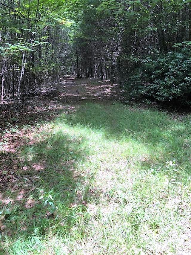 Lot 21 Two Rivers Trail, Unit 21 Independence, VA 24348 - Photo 26 of 27 Gallery Image 26