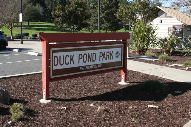 a view of a park with tree s