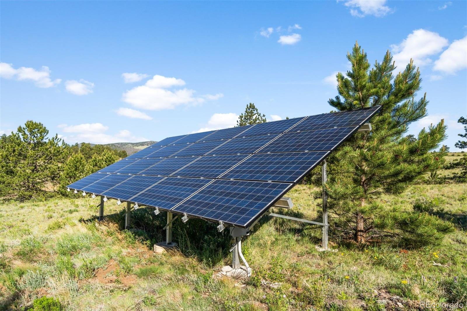 0 Big Buck Road Guffey, CO 80820 - Photo 27 of 50