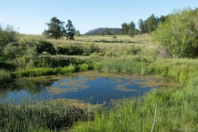 $5,550,000 | 0 Big Buck Road, Guffey, CO 80820