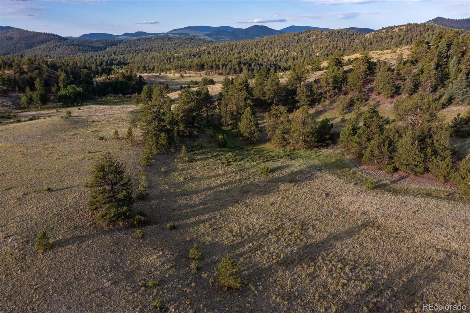 0 Big Buck Road Guffey, CO 80820 - Photo 46 of 50