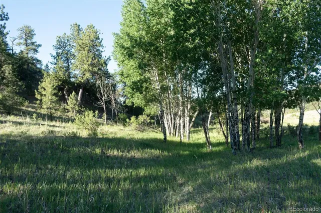 $5,550,000 | 0 Big Buck Road, Guffey, CO 80820