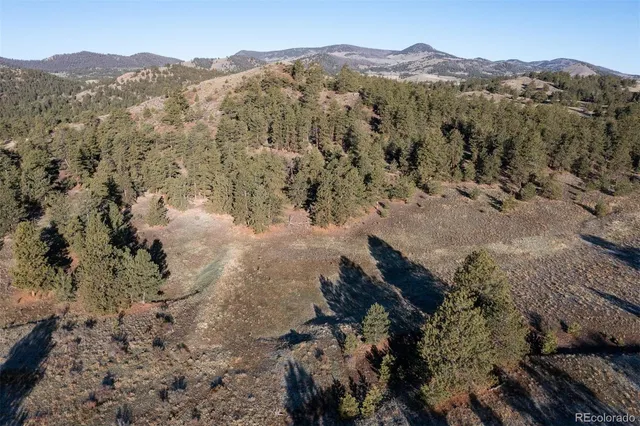 $5,550,000 | 0 Big Buck Road, Guffey, CO 80820