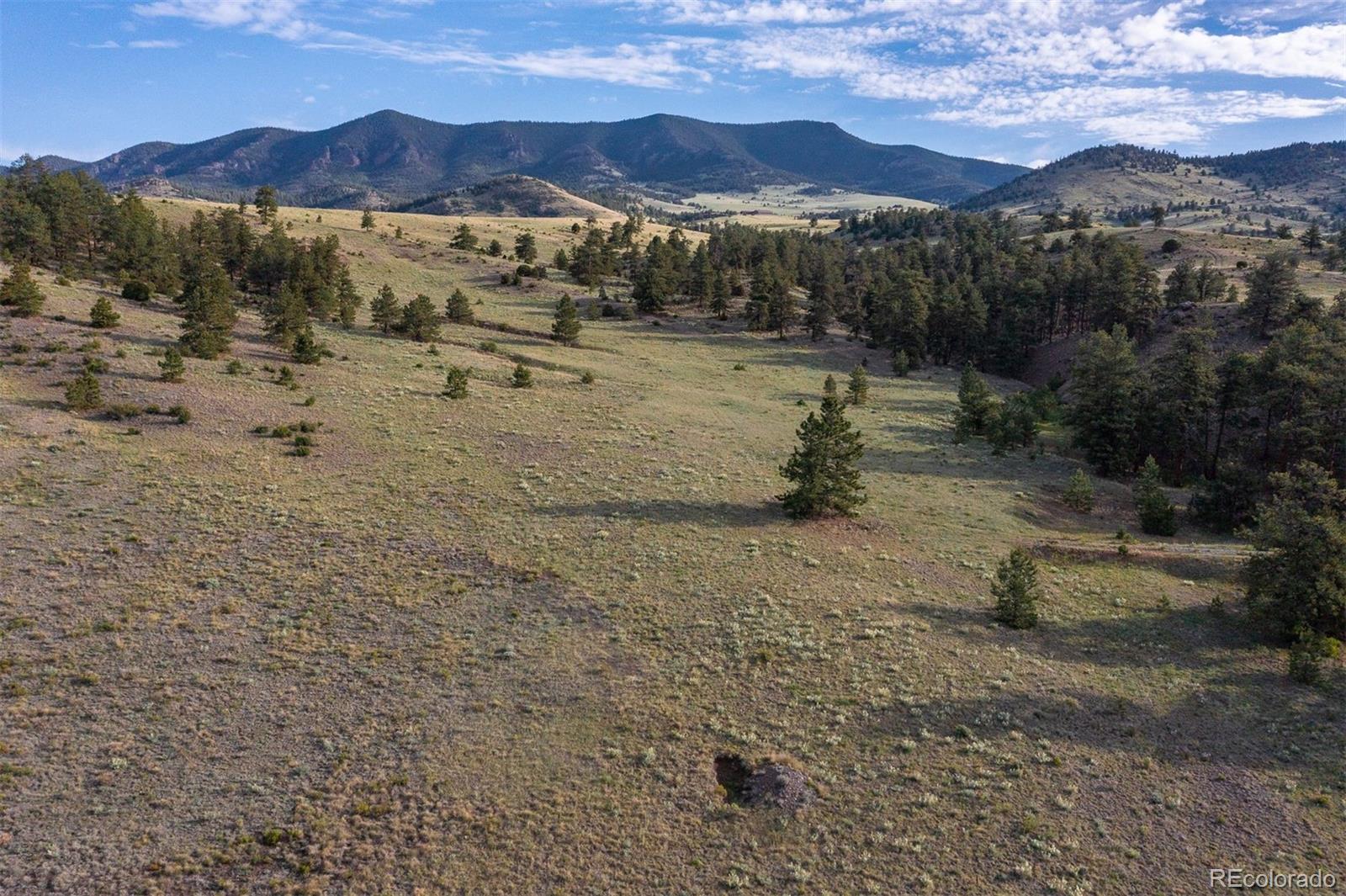 0 Big Buck Road Guffey, CO 80820 - Photo 5 of 50