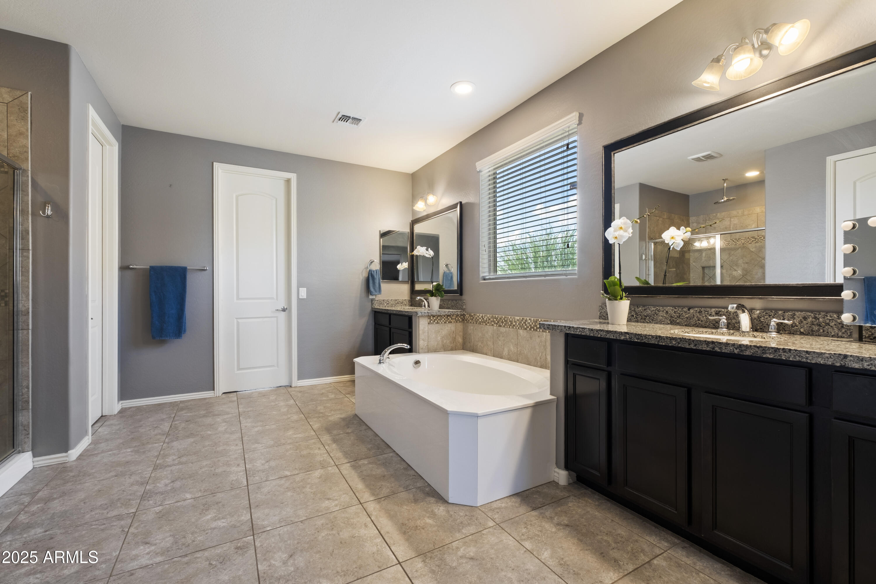 5123 South Mariposa Drive Gilbert, AZ 85298 - Photo 16 of 35 a spacious bathroom with a bathtub sink and mirror