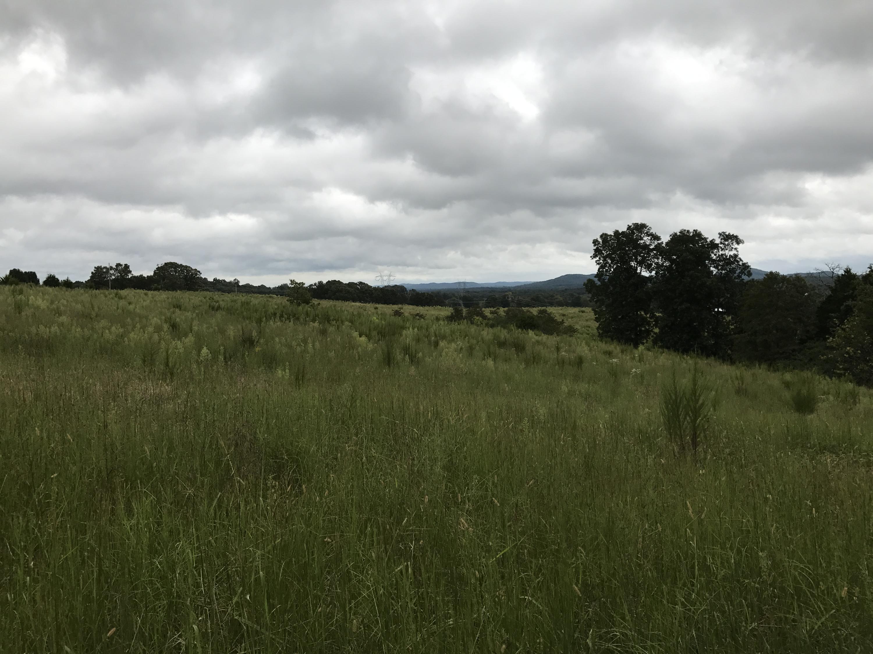 7020 B K Ranch Road, Unit 11 Georgetown, TN 37336 - Photo 6 of 16 IMG_0052