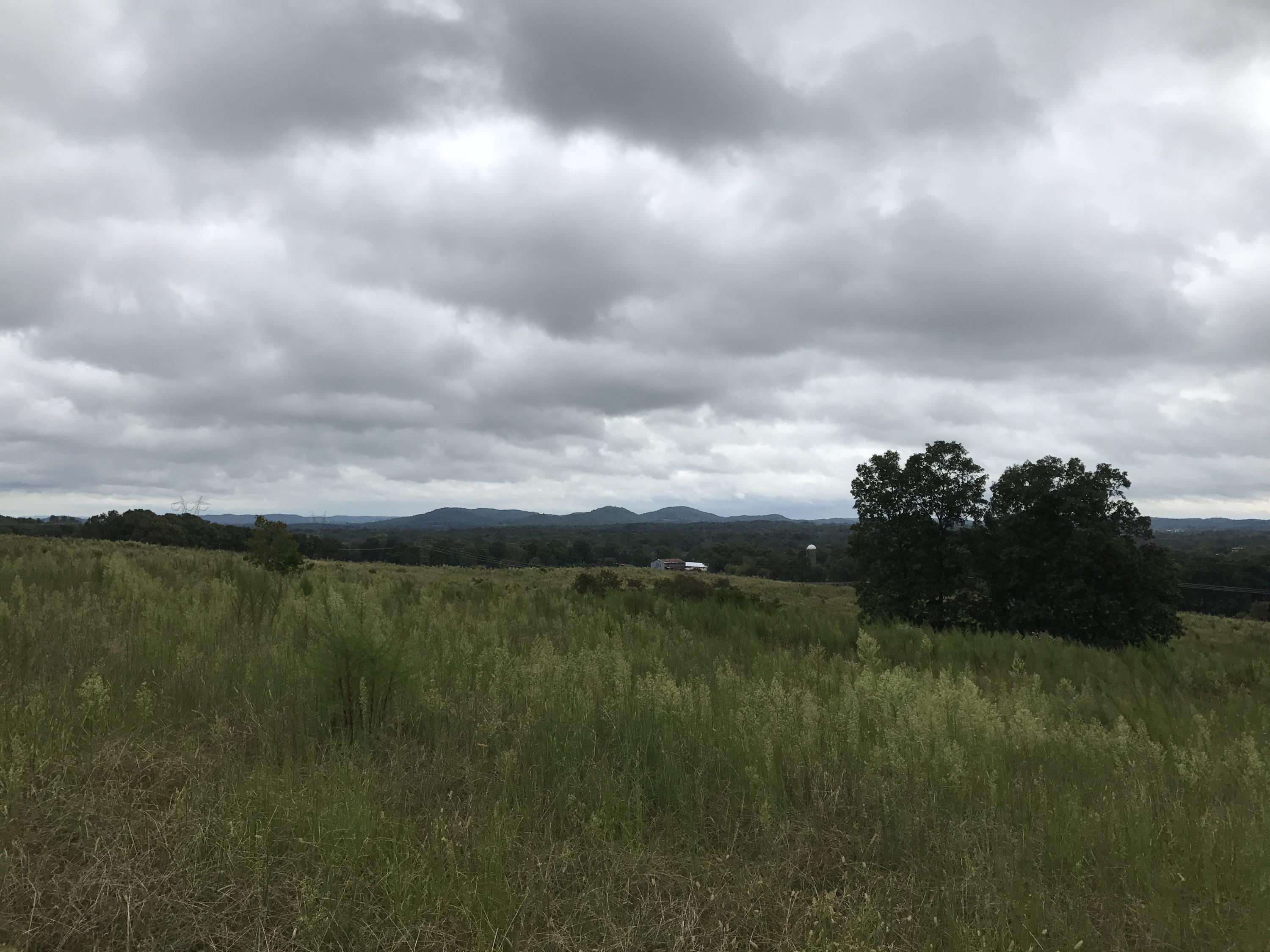 7020 B K Ranch Road, Unit 11 Georgetown, TN 37336 - Photo 7 of 16 IMG_0055