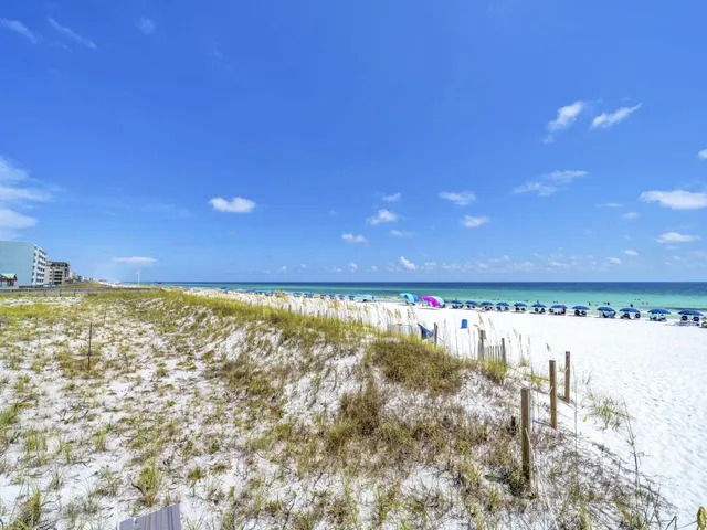 a view of swimming pool from a yard