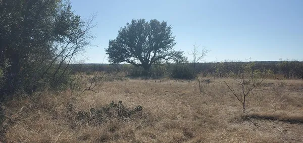 a view of a lake in between the field