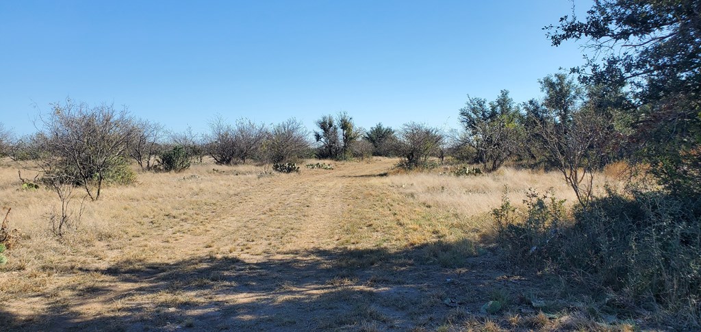 54 Dry Creek Road, Unit 54 Fort McKavett, TX 76841 - Photo 2 of 16 a view of a yard covered in snow