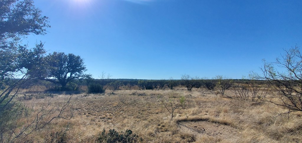 54 Dry Creek Road, Unit 54 Fort McKavett, TX 76841 - Photo 4 of 16 a view of swimming pool with an outdoor space