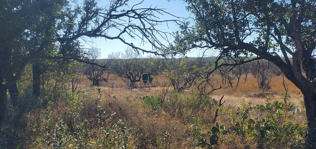 54 Dry Creek Road, Unit 54 Fort McKavett, TX 76841 - Photo 6 of 16 a view of a tree in a yard