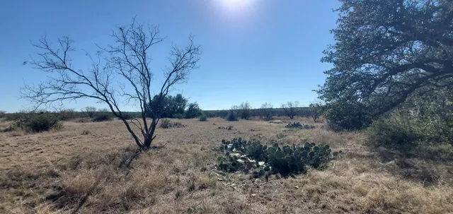 a view of a dry yard with lots of green space