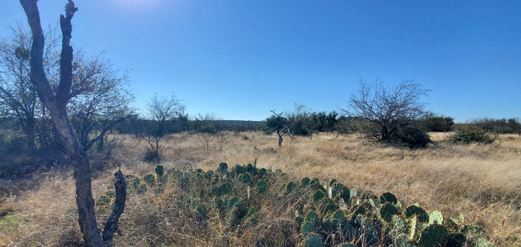 54 Dry Creek Road, Unit 54 Fort McKavett, TX 76841 - Photo 10 of 16 a view of a lake in between the bunch of trees