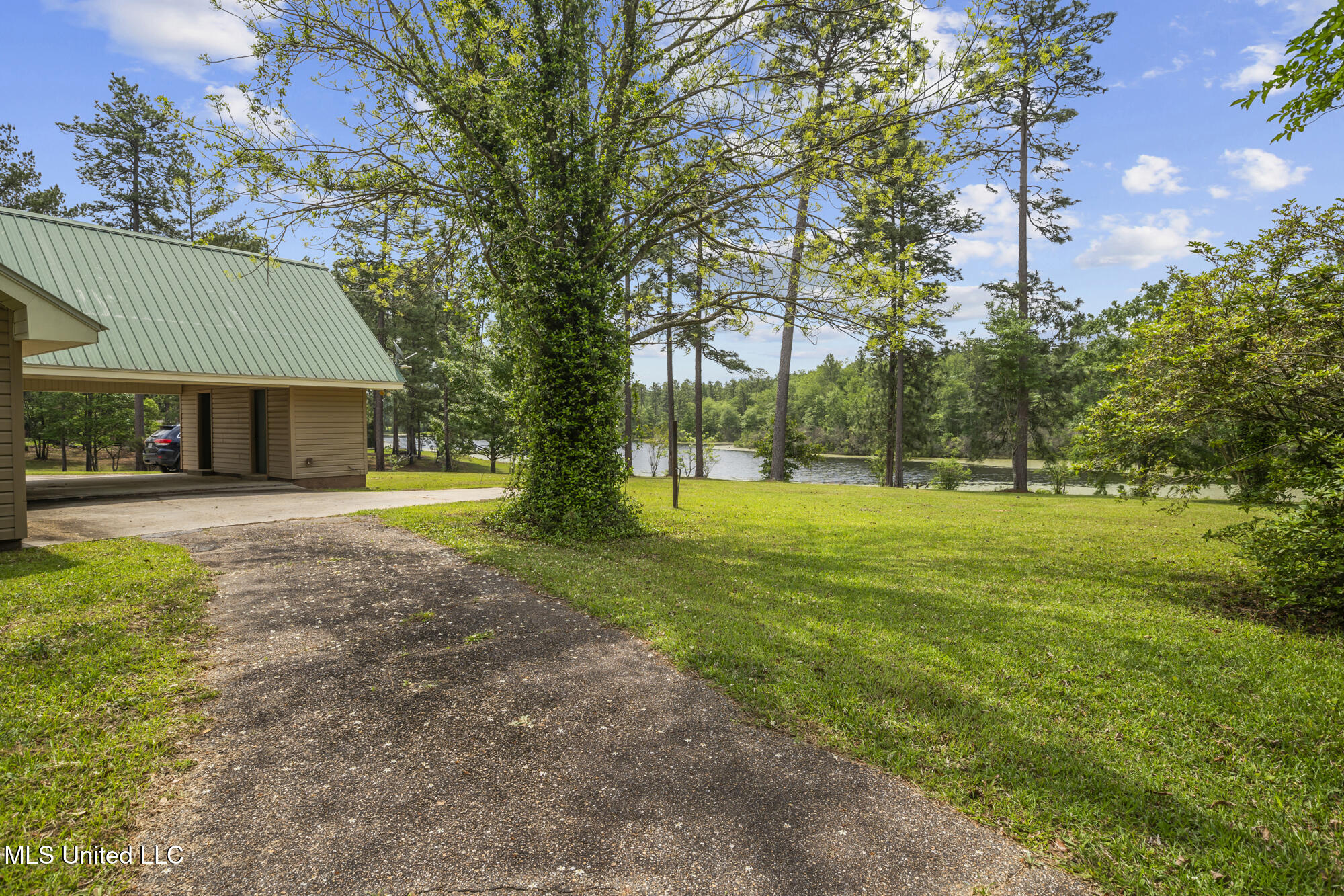 179 Lower Airport Road Lumberton, MS 39455 - Photo 28 of 40 back yard view