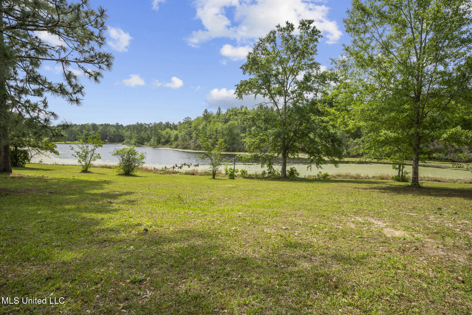 179 Lower Airport Road Lumberton, MS 39455 - Photo 29 of 40 back yard