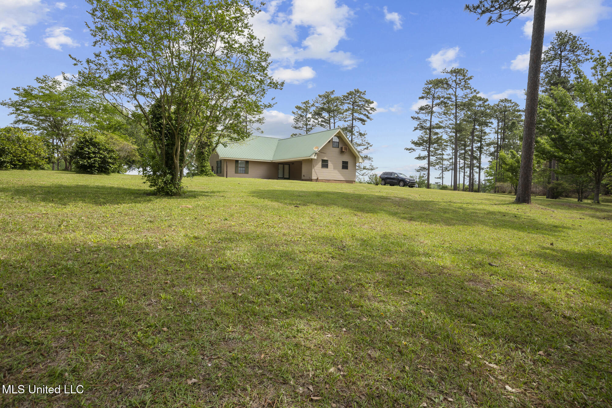 179 Lower Airport Road Lumberton, MS 39455 - Photo 30 of 40 back yard