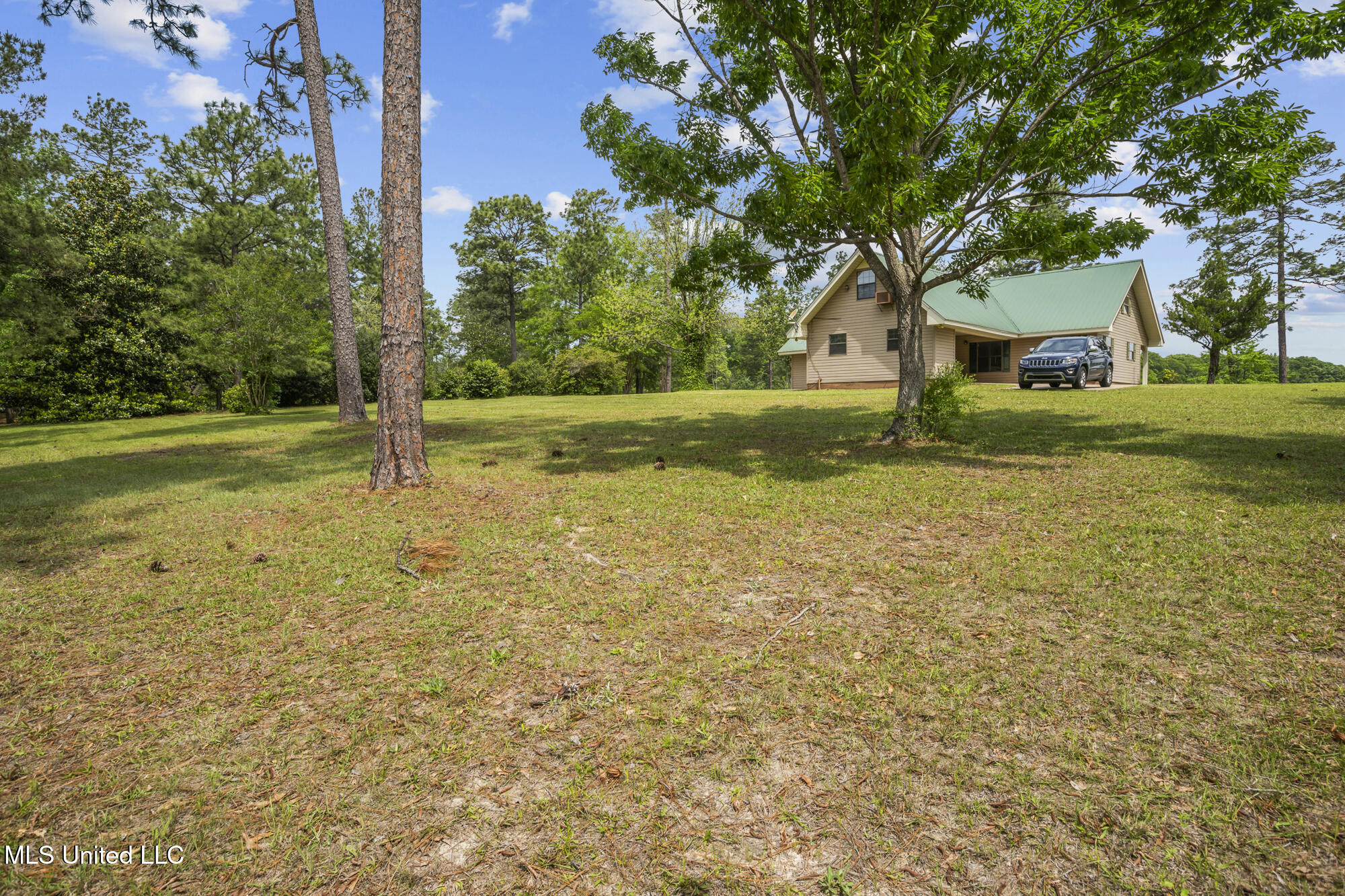 179 Lower Airport Road Lumberton, MS 39455 - Photo 31 of 40 back yard