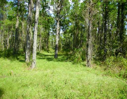 Edgehill Road Groveland, FL 34736 - Photo 1 of 1 Exterior Front