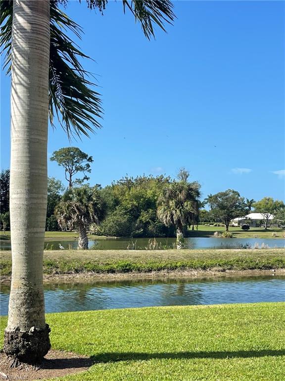 5499 Rattlesnake Hamm Road, Unit A207 Naples, FL 34113 - Photo 32 of 32 a view of a yard