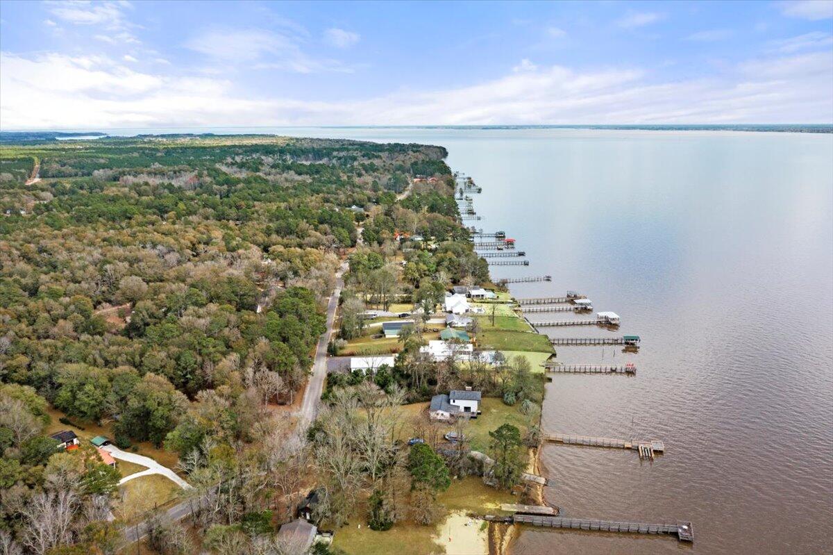 3366 Princess Pond Road Summerton, SC 29148 - Photo 94 of 116 116-DJI_0441