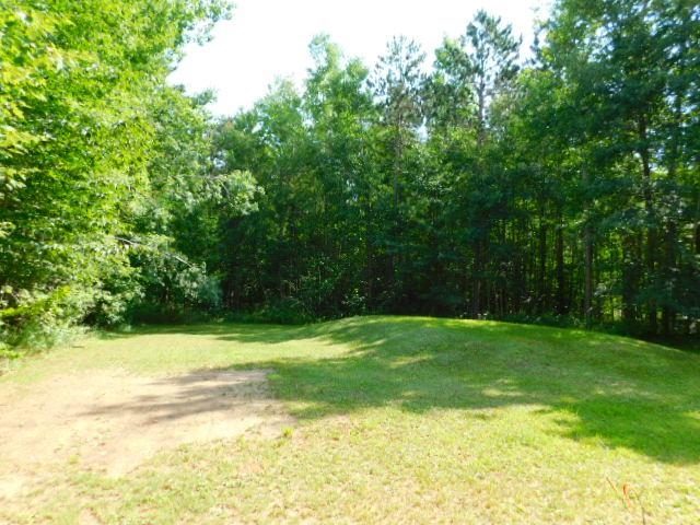 11917 Coster Road Southwest Fife Lake, MI 49633 - Photo 2 of 17